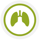 Airway Diseases